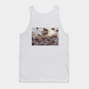 Swan Love Tank Top